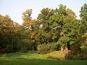 Böhmen (110)